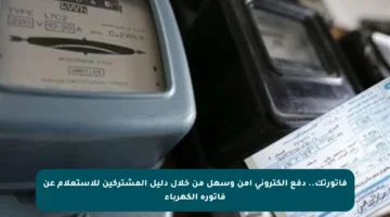 فاتورتك.. دفع إلكتروني آمن وسهل من خلال دليل المشتركين للاستعلام عن فاتورة الكهرباء